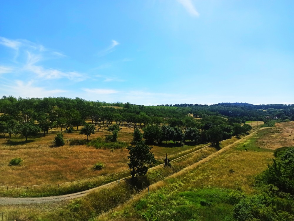 auto_ausblick.jpg